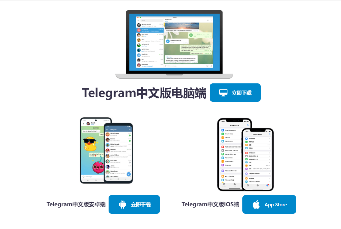 纸飞机官网下载
